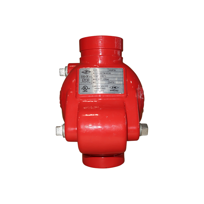 80MM RG SWING CHECK VALVE